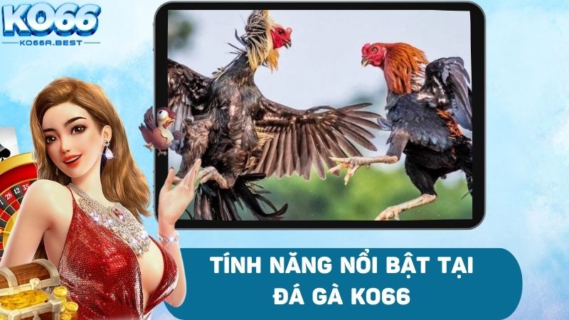 Phân tích và thống kê các trận đấu đá gà đỉnh cao