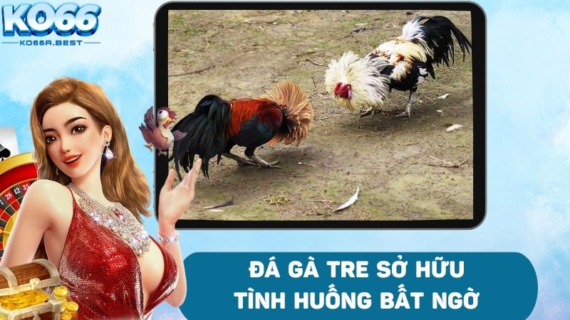 Đá gà tre khó đoán tận phút cuối cùng